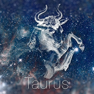 Should a Leo be with a Taurus? – Horoscope Horizons